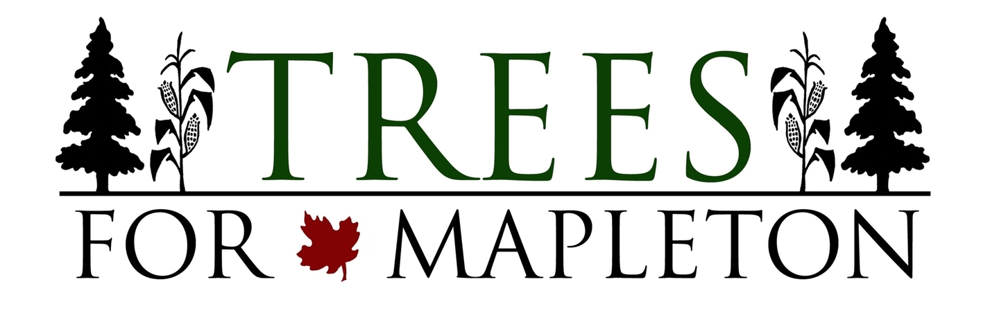 Trees For Mapleton