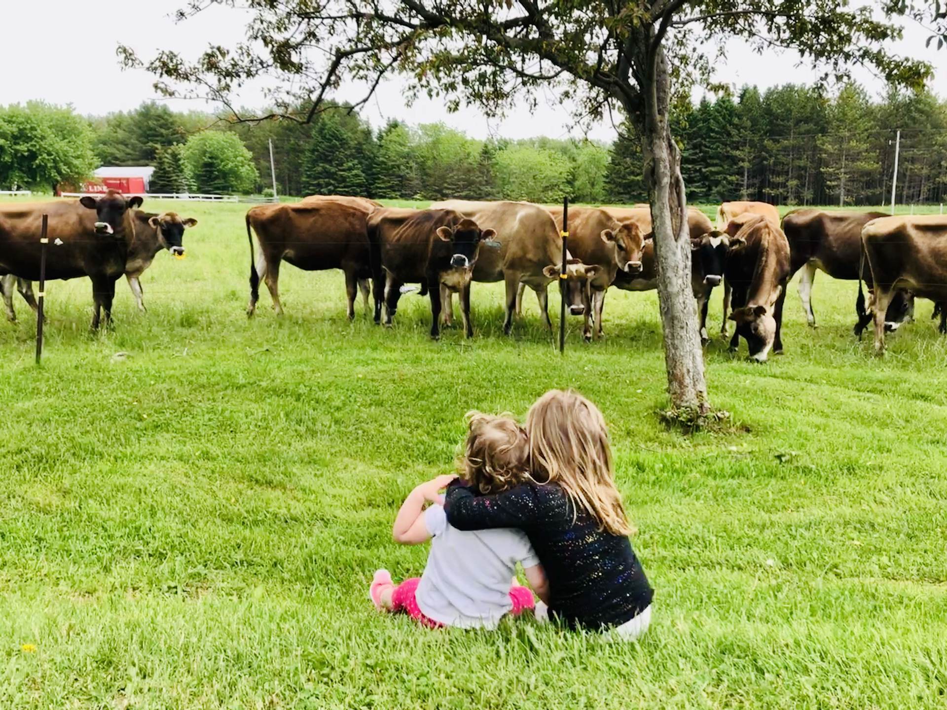 New to Mapleton Municipality of Mapleton